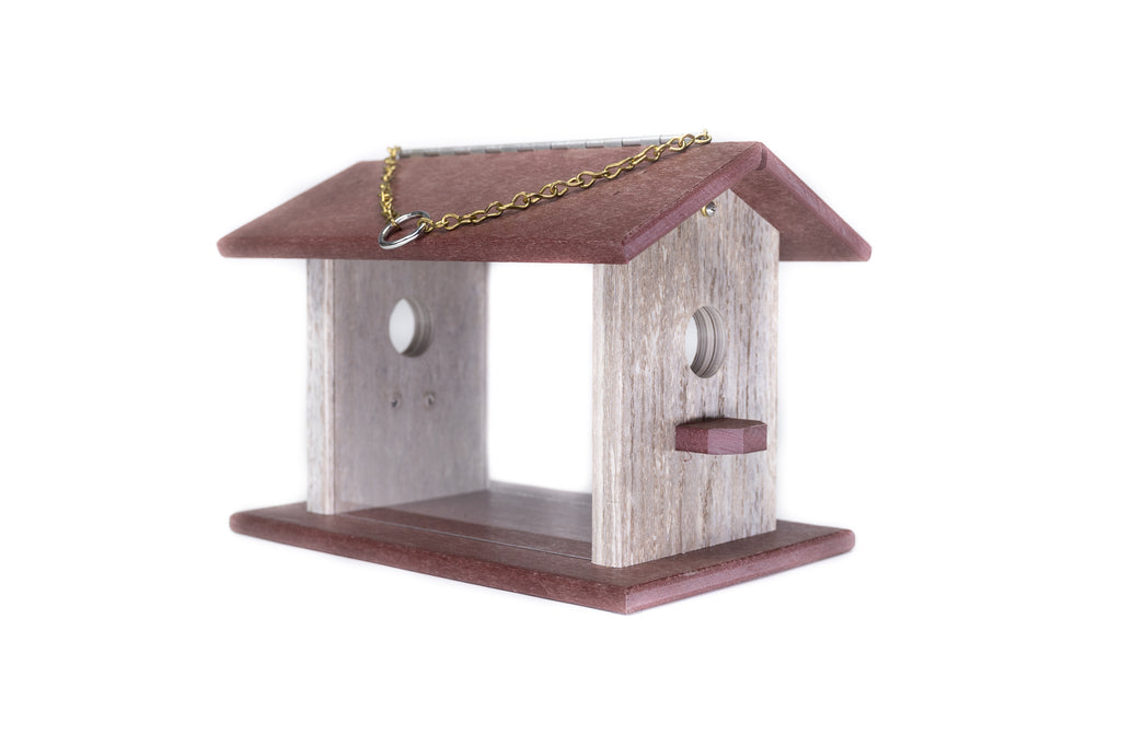 Bluebird Feeder (Poly, Color Variant)