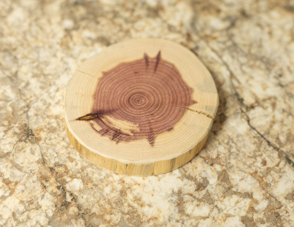 Cedar Coaster