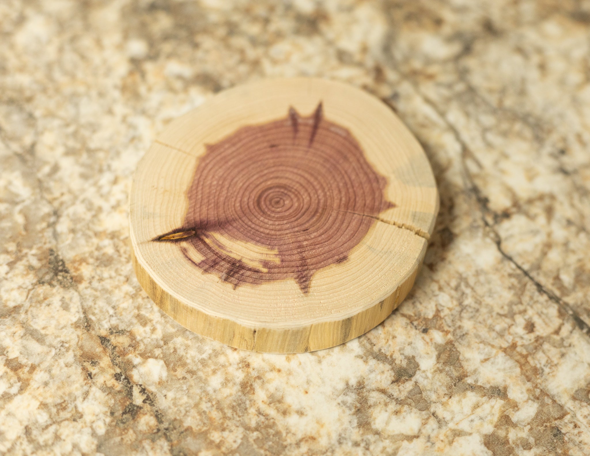Cedar Coaster