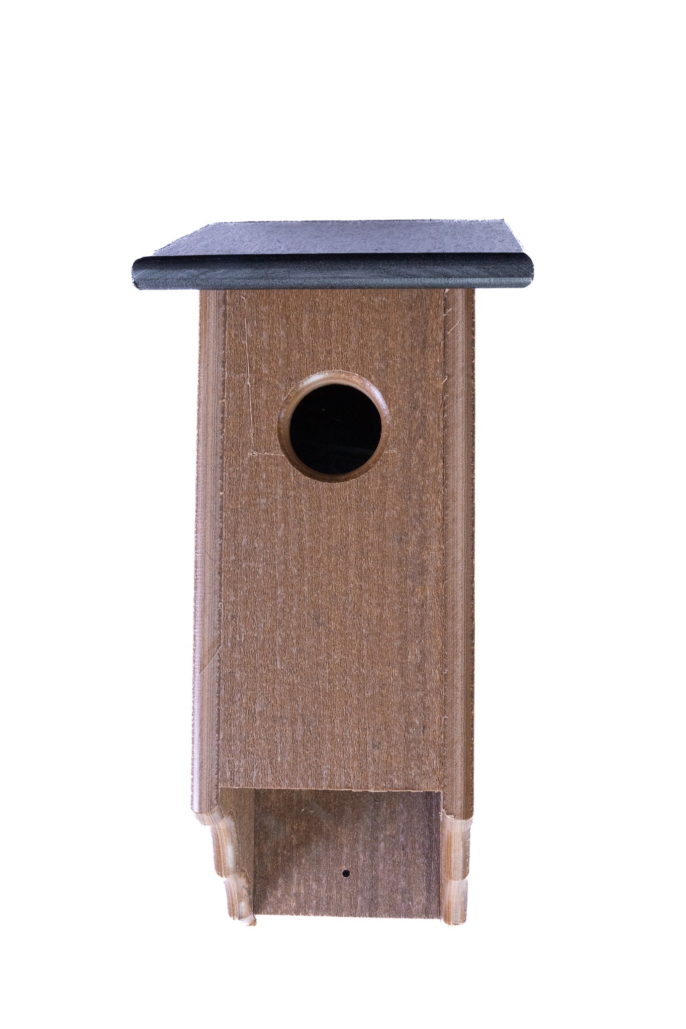 Bluebird House (Poly, Color Variant)