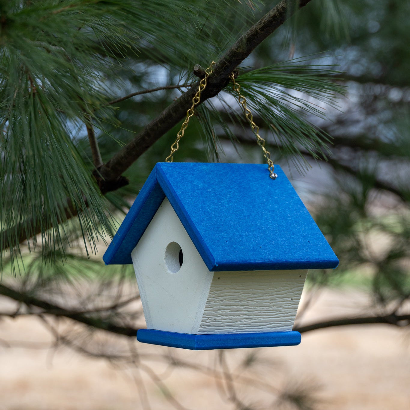 Wren Bird House (Poly, Color Selection)